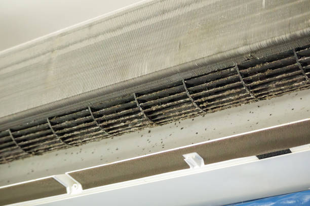 Best Home Air Vent Cleaning  in Flora, AL